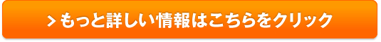 【ひとり親家庭・働く女性支援】Web・ITスクール インターネット・アカデミーの無料カウンセリング販売サイトへ